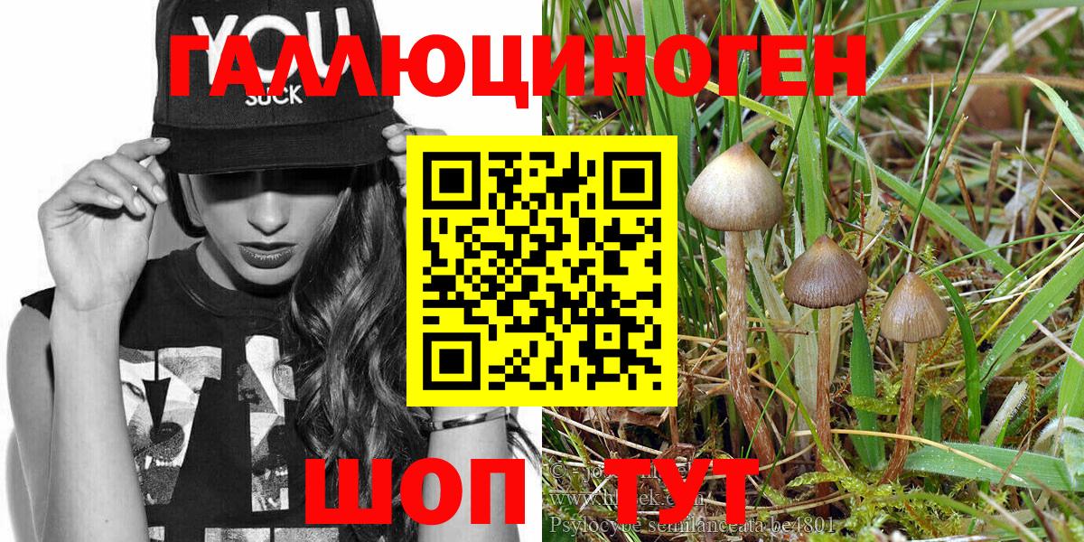 Галлюциногенные грибы мицелий  Вход с VPN  Галлюциногенные грибы Psilocybe  Тихвин 