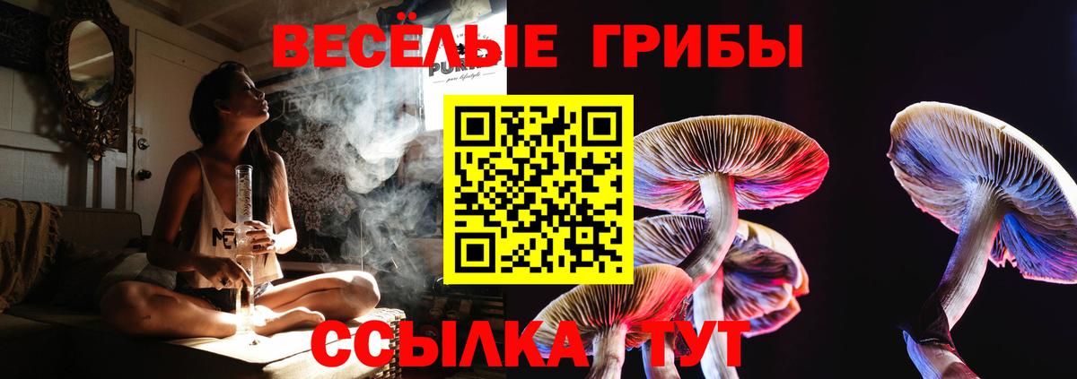 Псилоцибиновые грибы мухоморы Тихвин